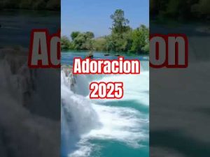hqdefault-45